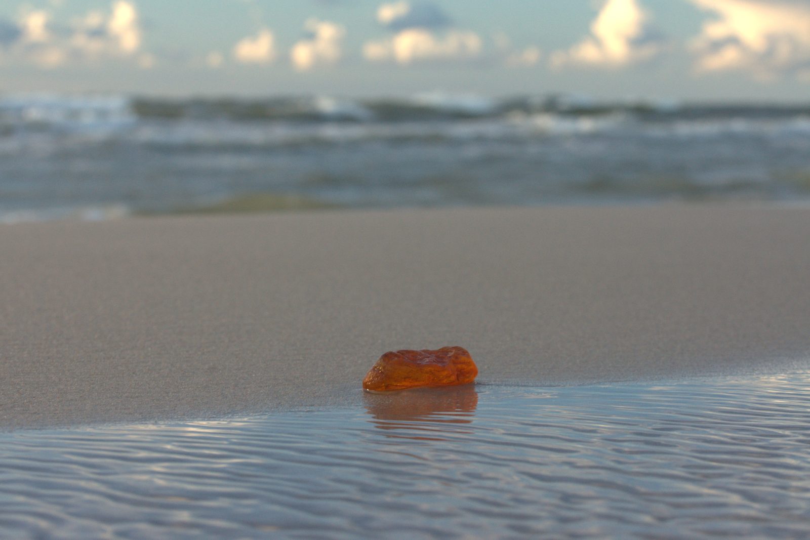 The Gold of the Baltic
